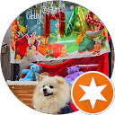 kookkai L. profile picture